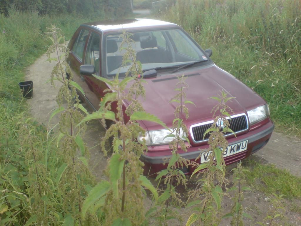 DSC00360.jpg