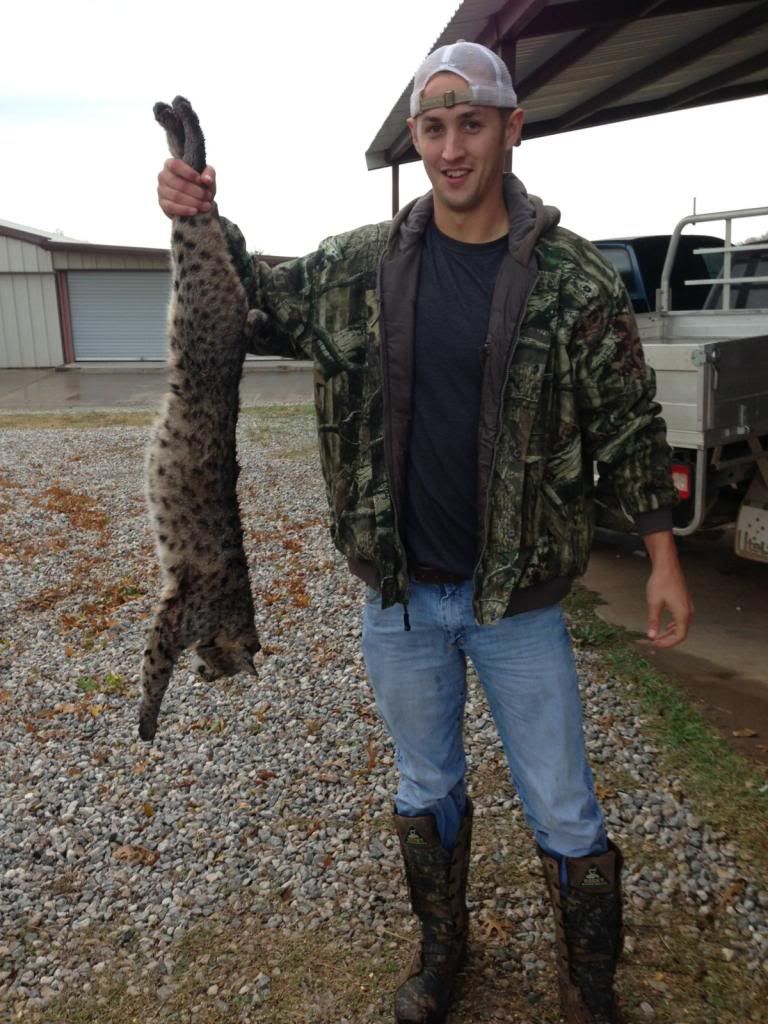 Shooting bobcats? Texas Hunting Forum