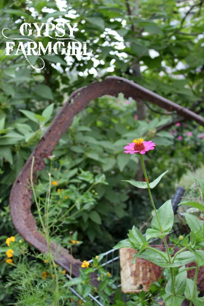 Rusty garden frame