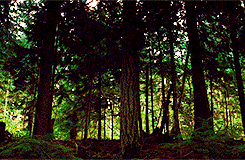 [Image: tumblr_m6v400Aq8T1qb13rmo4_250.gif]