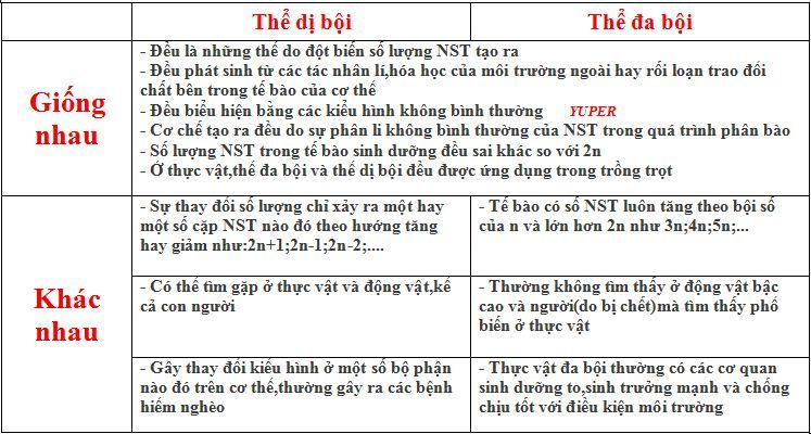 Sosanhthediboivathedaboi.jpg