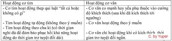 ctimvscvn-1.jpg