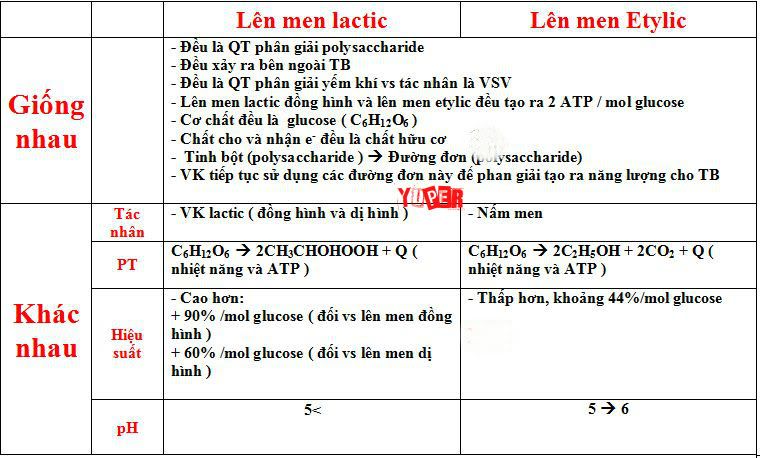 lnmenlacticvetylic.jpg