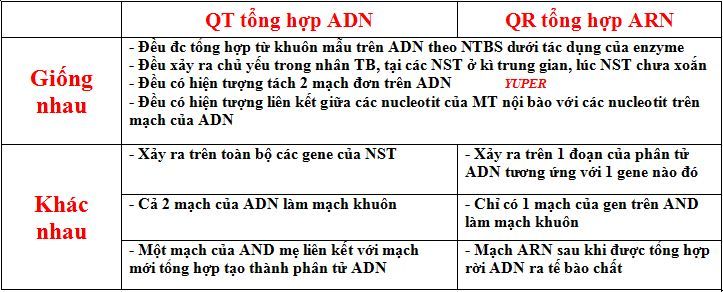 sosanhQTtonghopADnvaARN-1.jpg