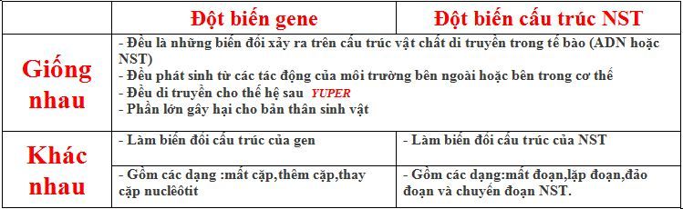 sosanhdotbiengenvadotbiencautrucNST.jpg