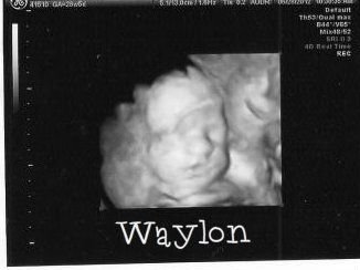 Waylon3dd.jpg