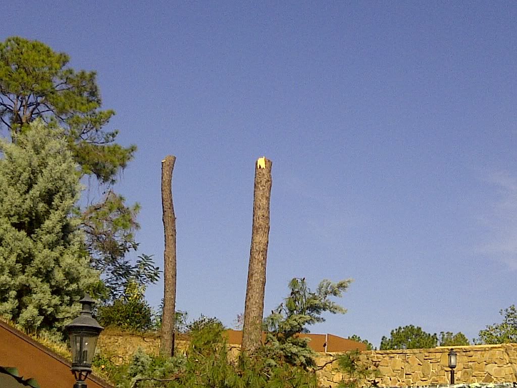 IMG-20120112-00061.jpg