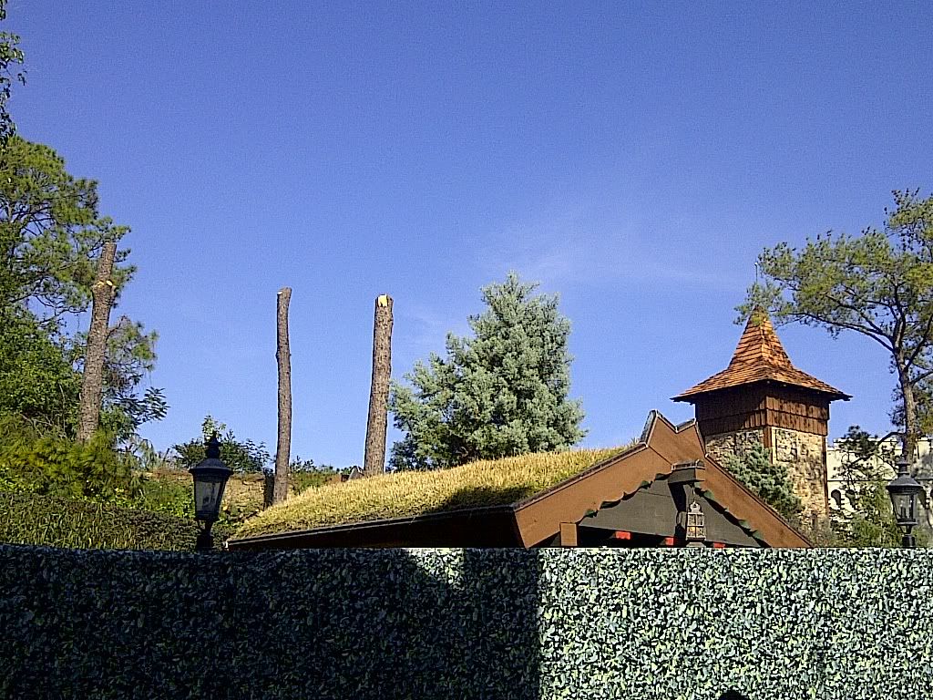 IMG-20120112-00062.jpg
