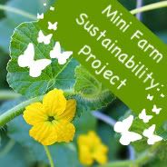 Mini Farm Sustainability Project