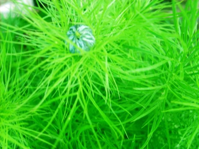 %20photo%20S5007700_zpsbc1a4901.jpg