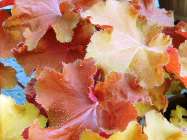 %20photo%20S5007713_zpsabcdefad.jpg