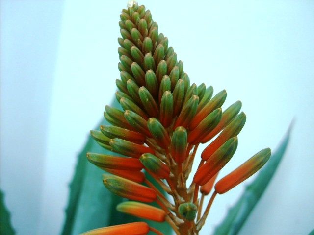 %20photo%20S5007715_zps7d3b9e27.jpg