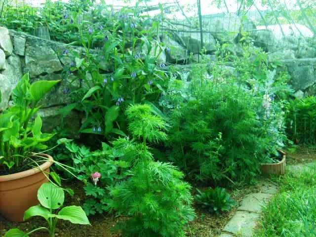 %20photo%20S5007724_zps62023fec.jpg