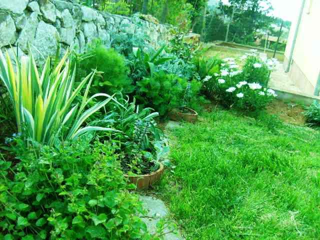 %20photo%20S5007731_zps90e0bace.jpg