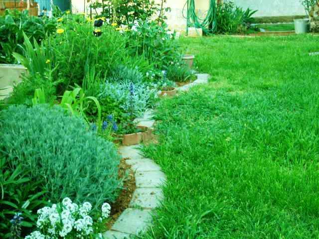 %20photo%20S5007735_zps0af68c45.jpg