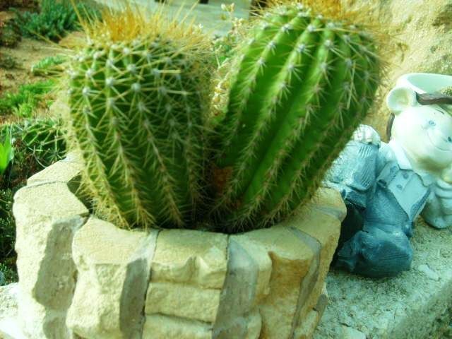 %20photo%20S5007755_zps393a881f.jpg
