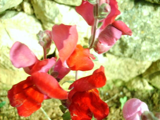 %20photo%20S5007814_zps836143d7.jpg