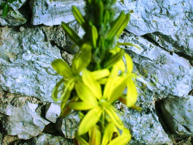 %20photo%20S5007817_zps4c075355.jpg