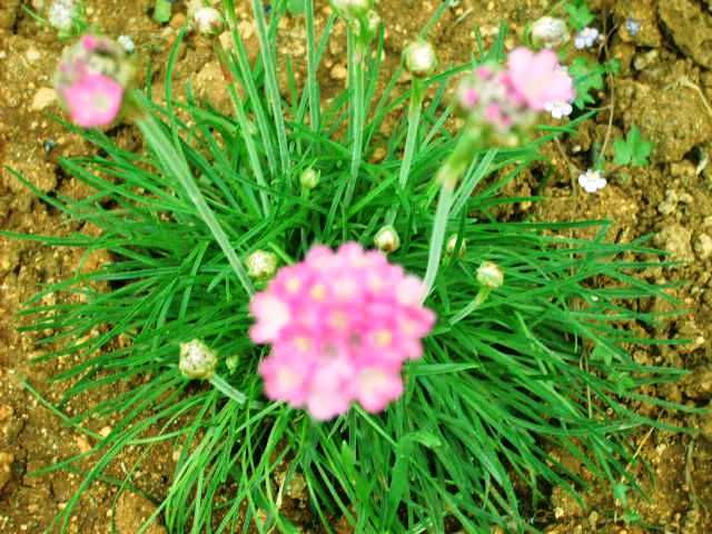 %20photo%20S5007828_zps41d2ec55.jpg