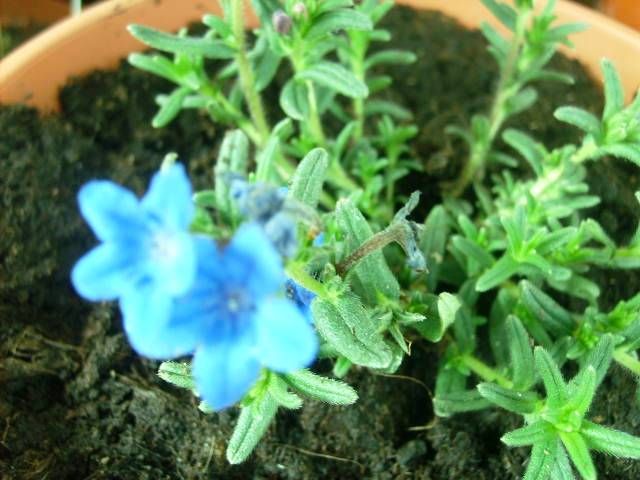 %20photo%20S5007831_zps9fefc30b.jpg