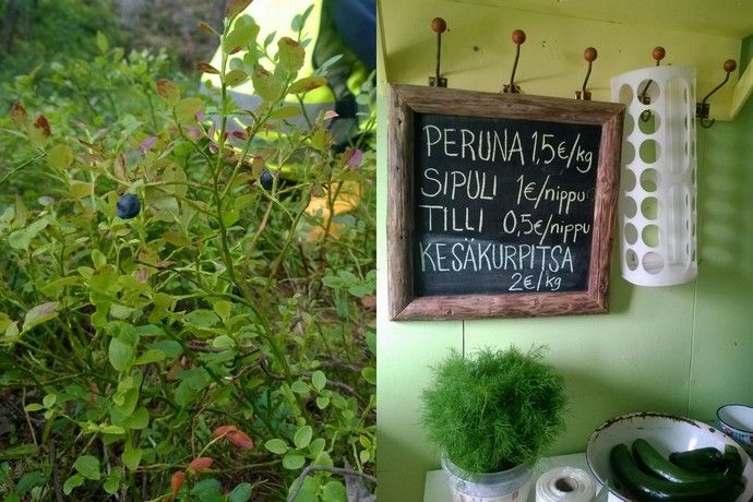 photo kaumlnnykaumlstauml1_zpsg6kyogno.jpg