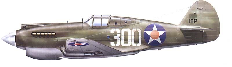 P40B_White300.jpg