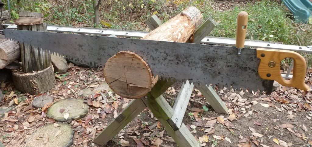 Crosscut Saws - Homesteading Questions
