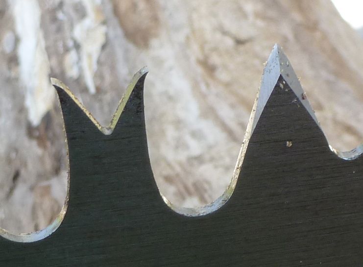 Crosscut Saws - Homesteading Questions