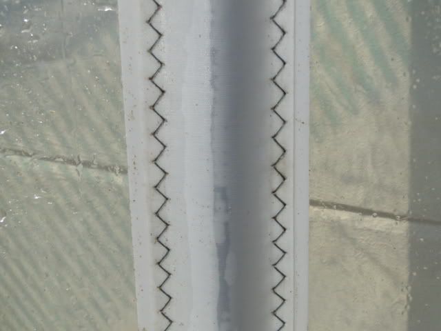 DSC06361.jpg