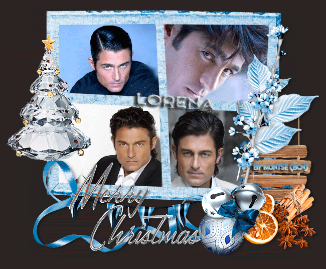  photo 015-NADAL-AMB-ARBRET-lorena.gif