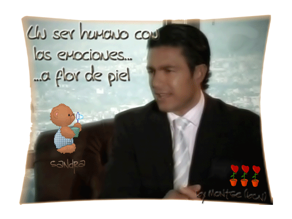 SANDRA photo NM-12-9-2013-sandra.gif