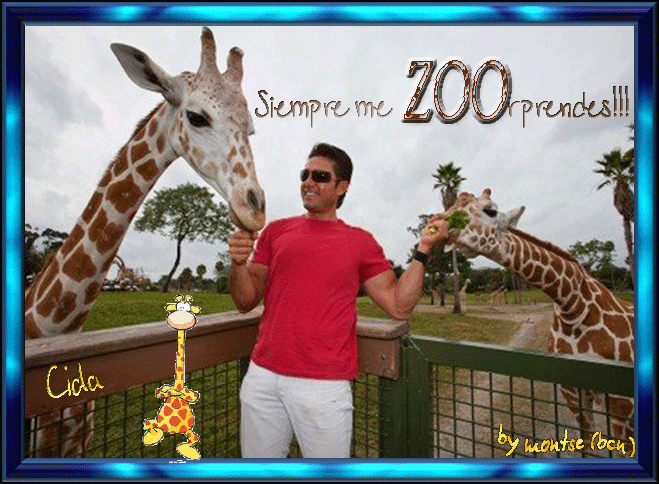  photo ZOOrpresa-Cida.gif