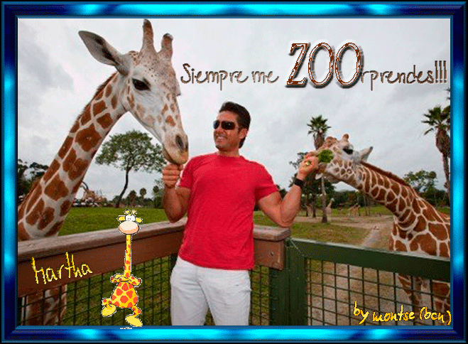  photo ZOOrpresa-Martha.gif