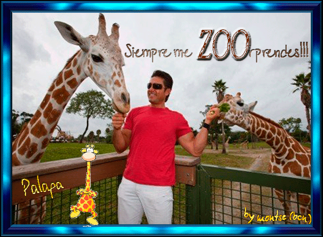  photo ZOOrpresa-Palapa.gif