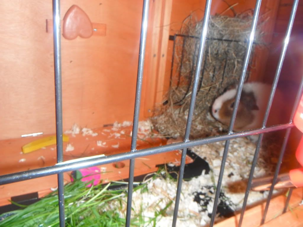 DSCF0416.jpg