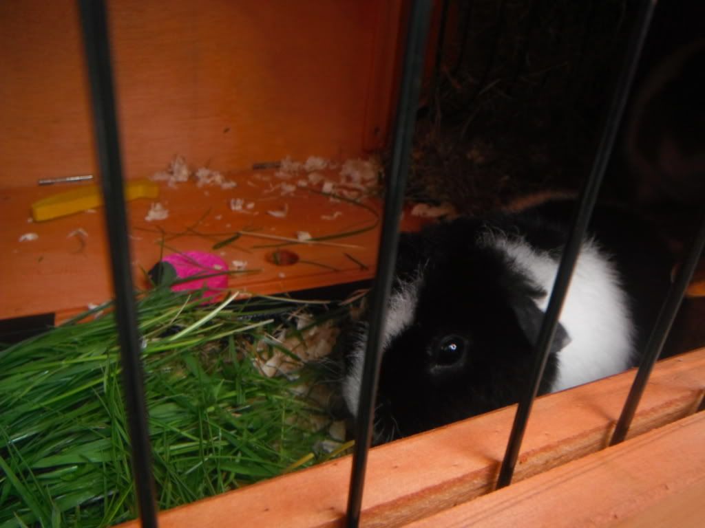 DSCF0419.jpg