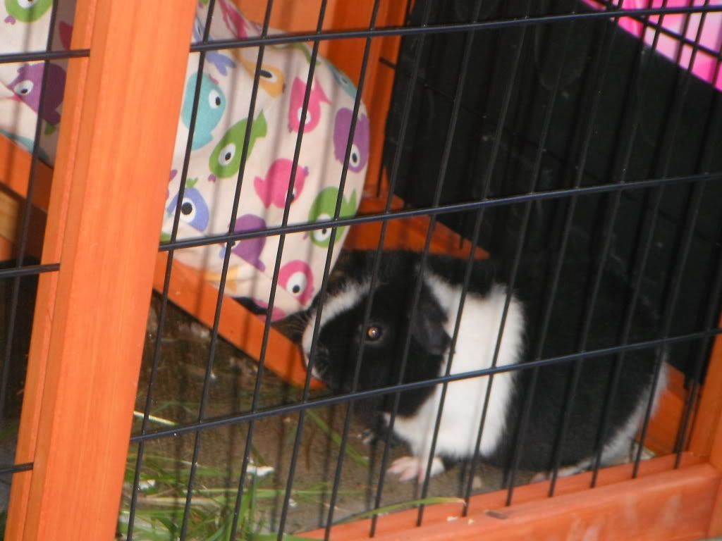 DSCF0424.jpg