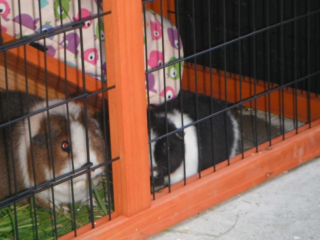DSCF0429.jpg