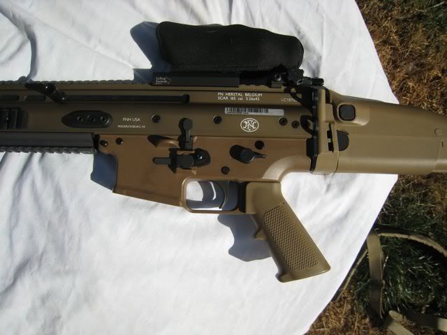 Custom 1911, FDE Scar 16, Custom Rem 700 .223, Mini 14 .223, Cav arms 5 ...