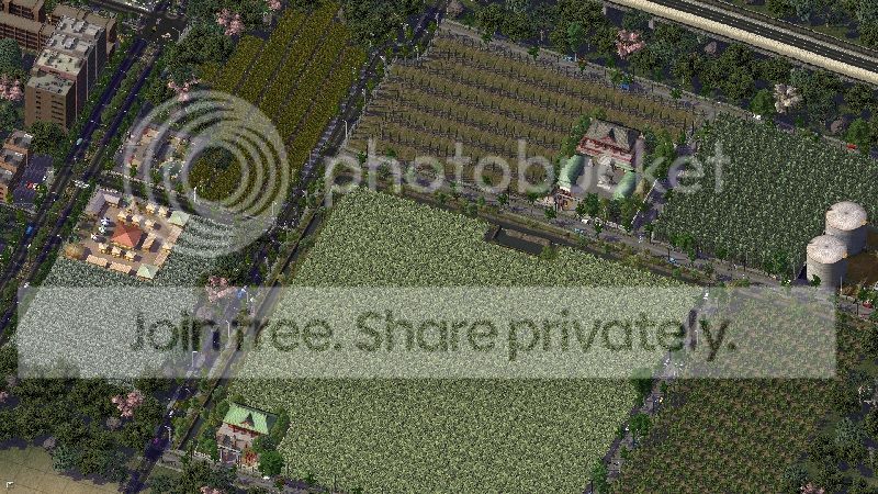 fields.jpg
