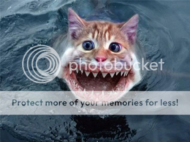 Australia You Scary So Lets Start Off By Killing Great